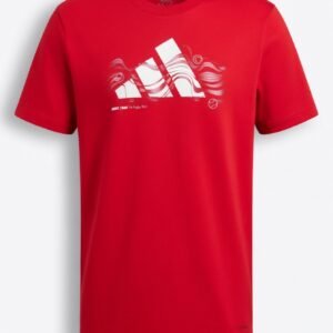 Camiseta Adidas Heat Graphic